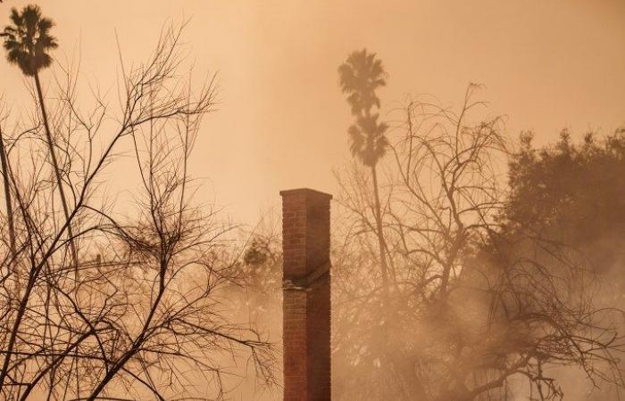 Vea cómo los incendios de Los Ángeles destruyeron vecindarios