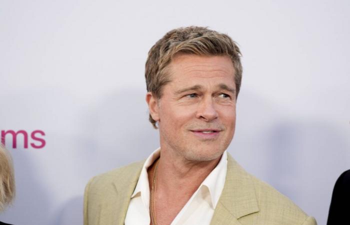 Un cincuentón estafado por un falso Brad Pitt, 830.000 euros de daños