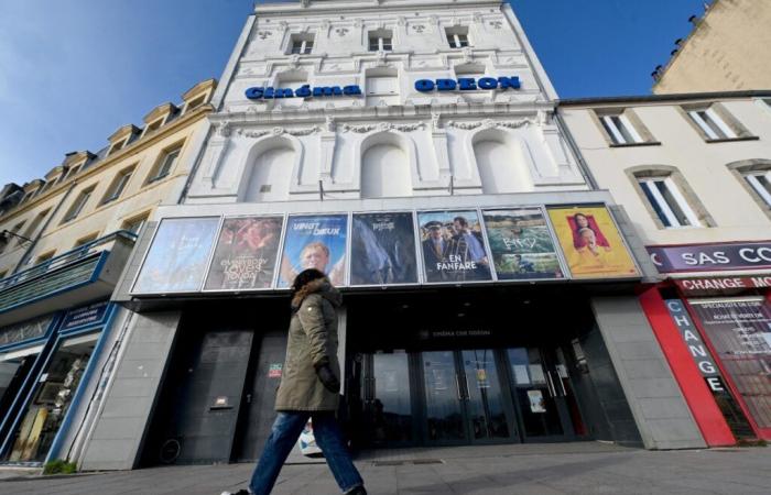 Gracias al cine francés, los cines manchegos están encantados con su asistencia en 2024