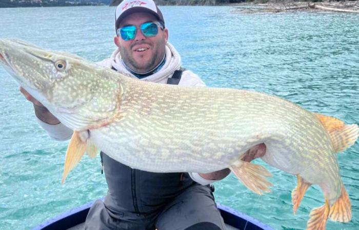 ¡Un lucio de 1,28 m capturado en las aguas de Serre-Ponçon!