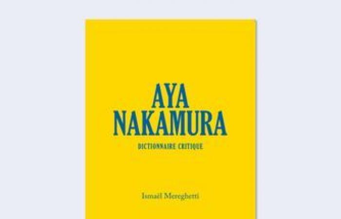 Noche de presentación del libro “Aya Nakamura, diccionario crítico”, de Ismaël Mereghetti – La Place Centre Culturel Hip Hop – París, 75001