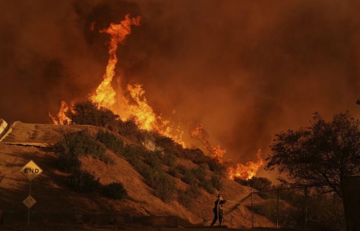 Manejo de Incendios de Los Ángeles | Los demócratas responden a las acusaciones de “incompetencia” de Trump