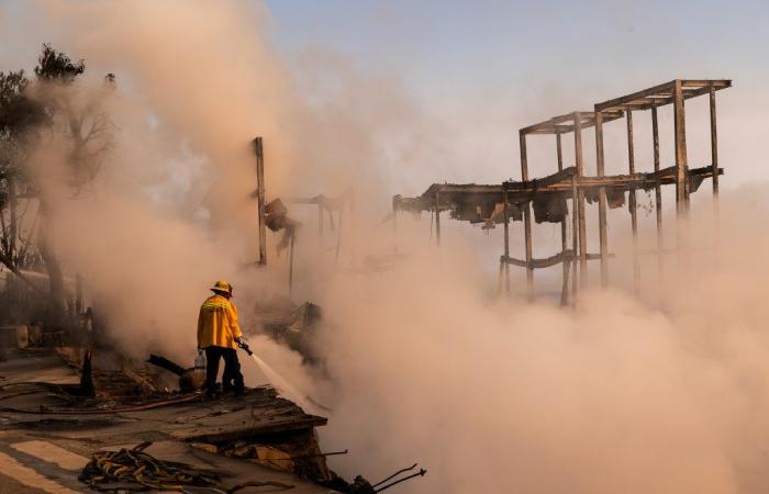 Vea cómo los incendios de Los Ángeles destruyeron vecindarios