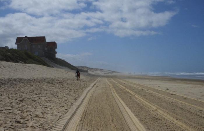 Landas. Se cierran varios accesos a las playas de Biscarrosse, he aquí el motivo