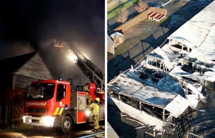 Imágenes de drones muestran cómo quedó la escuela de equitación después de un devastador incendio en el que murieron 17 caballos (Waasmunster)