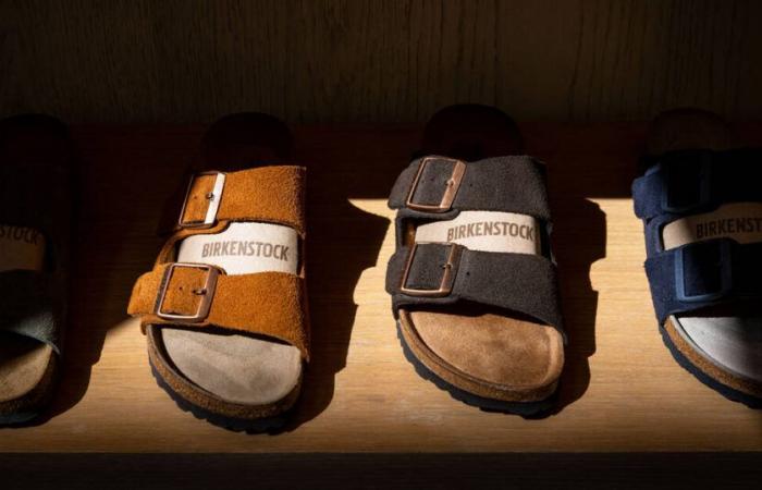 pero sí, ¡las Birkenstock son una obra de arte! – Liberación