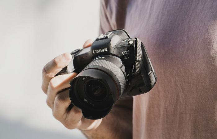 Estos dos lentes te permiten variar tus fotos sin gastar mucho dinero