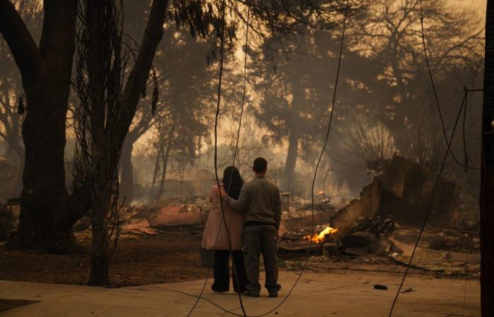 Vea cómo los incendios de Los Ángeles destruyeron vecindarios