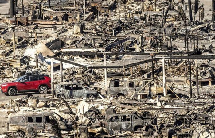 24 muertos mientras los bomberos intentan contener las llamas en Los Ángeles antes de que regresen los vientos esta semana