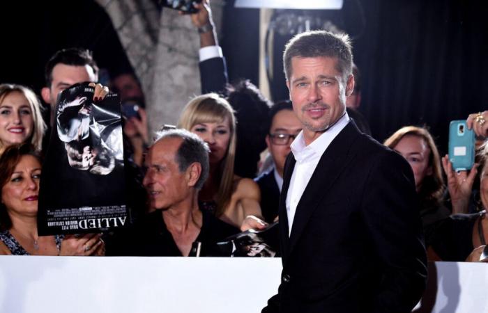 Ana perdió 830.000 euros pensando que tenía una aventura con Brad Pitt