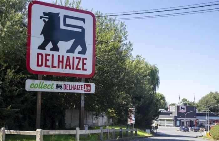 Delhaize anuncia la adquisición de 325 tiendas Louis Delhaize