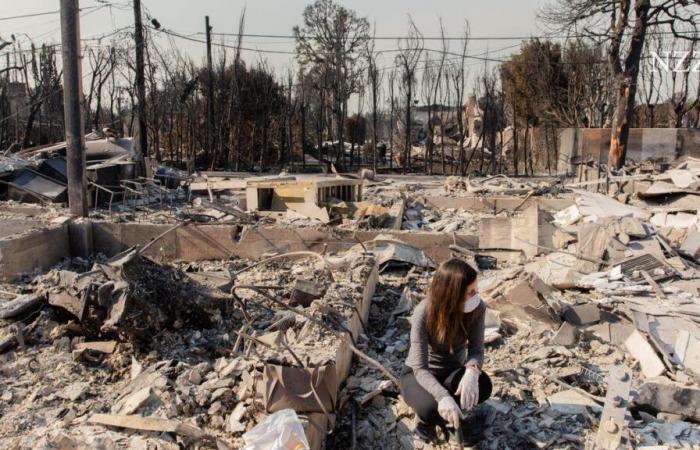 Una visión del desastre del incendio de Los Ángeles.