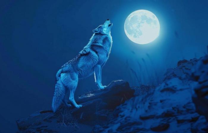 La luna llena del lobo del 13 de enero nos llevará a una auténtica montaña rusa