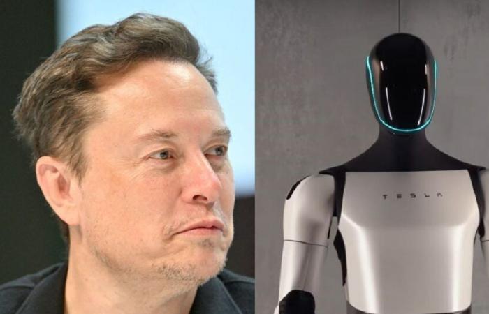 ¡Elon Musk asegura que ya no hay datos humanos para entrenar IA! “Hemos llegado al límite…”