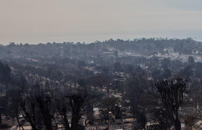 Una visión del desastre del incendio de Los Ángeles.