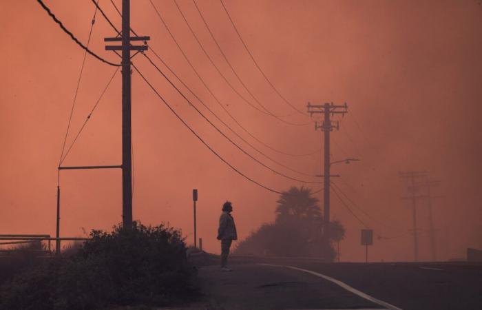 Vea cómo los incendios de Los Ángeles destruyeron vecindarios