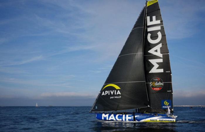 Vendée Globe: Dalin o Richomme, ¿cuánto ganan el ganador de la carrera y el segundo?