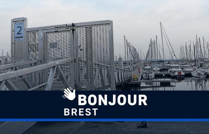 Muerte sospechosa en el puerto, robo y dieta digital: ¡Hola Brest!