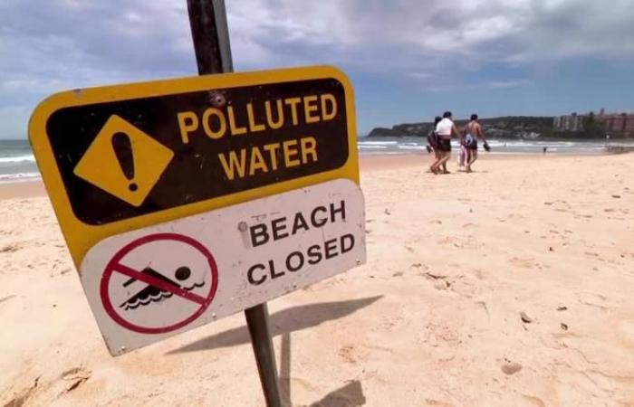 Las playas de Sídney cierran tras la aparición de misteriosas bolas