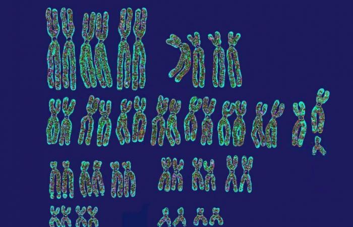 El preocupante regreso de la eugenesia genética