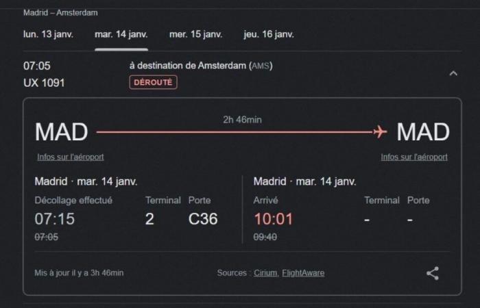 ¿Por qué un avión de línea dio la vuelta en U sobre Orne y Sarthe este martes por la mañana?