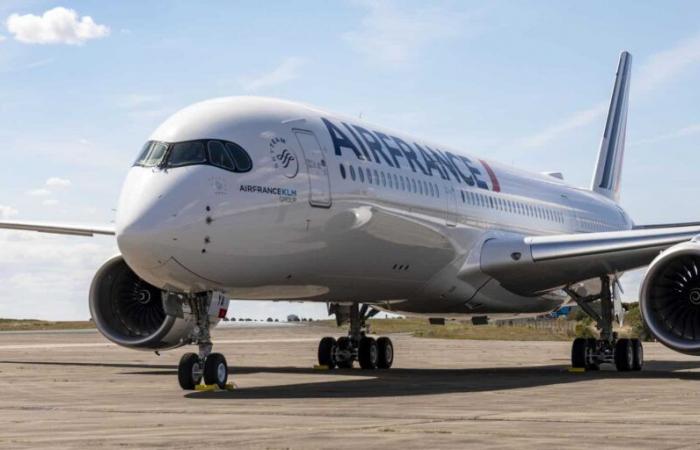 ¿Por qué un avión de Air France se llamará “Nîmes”?