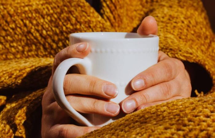 Más deliciosa que el té verde, esta bebida caliente reduce el riesgo de infarto