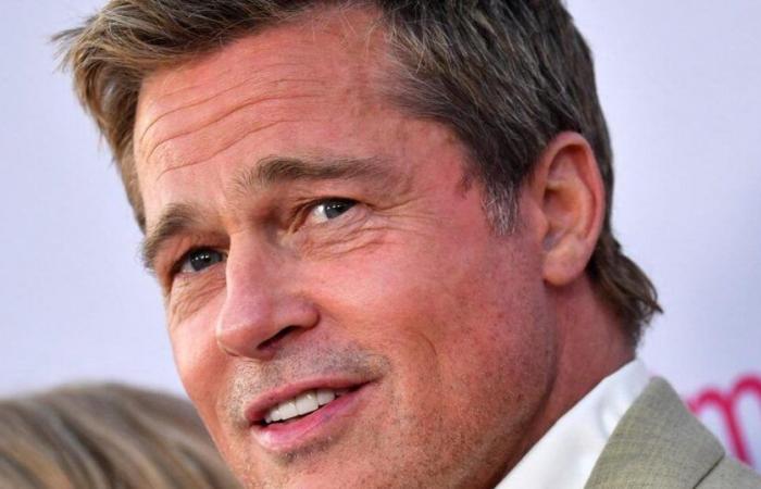 Mujer francesa pierde los ahorros de toda su vida a manos de estafadores que se hacen pasar por Brad Pitt