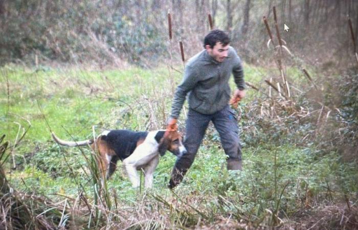 La petición de Yann Arthus-Bertrand contra la caza con perros de caza reúne cerca de 65.000 firmas