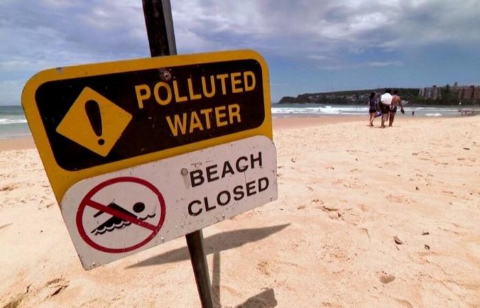 La ciudad de Sídney prohíbe el acceso a nueve playas tras la aparición de misteriosas bolitas