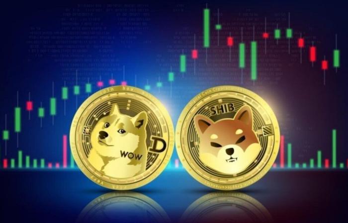 Dogecoin subió un 10%, Shiba Inu ganó un 6%: ¿qué está impulsando este aumento?