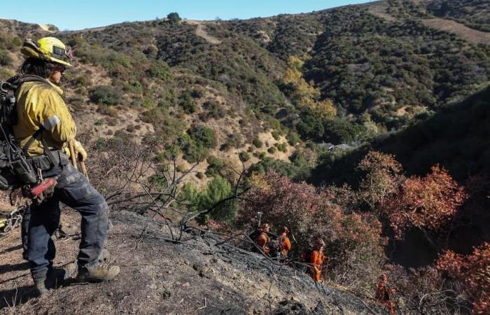 Autoridades temen nuevos incendios por fuertes vientos