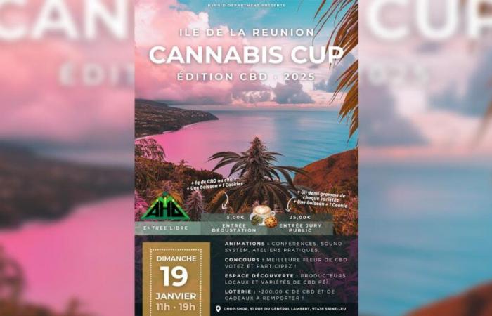 La edición Cannabis Cup CBD 2025 se inaugura el 19 de enero