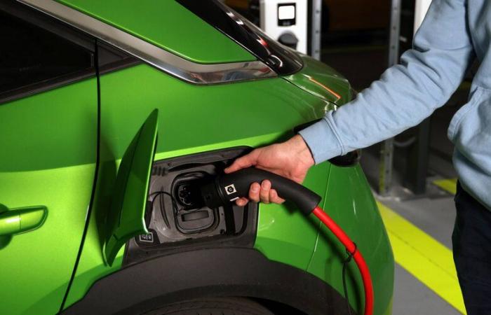 Las ventas mundiales de coches eléctricos aumentarán un 25% en 2024