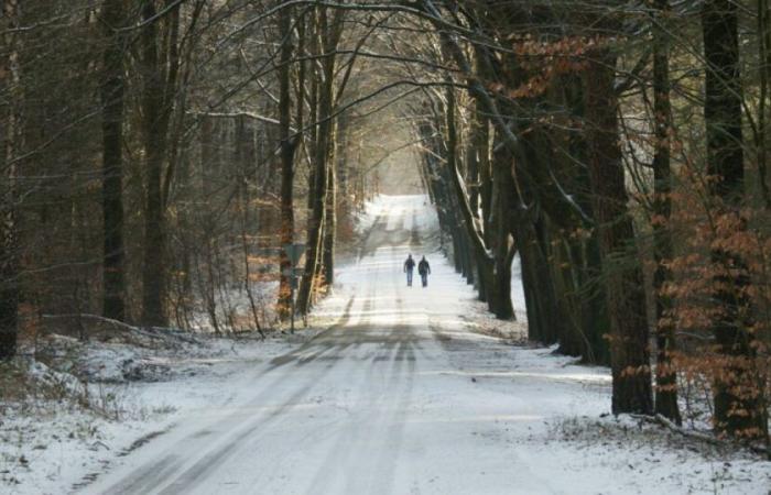 Actualización sobre temperaturas bajo cero en Francia este martes: Noticias