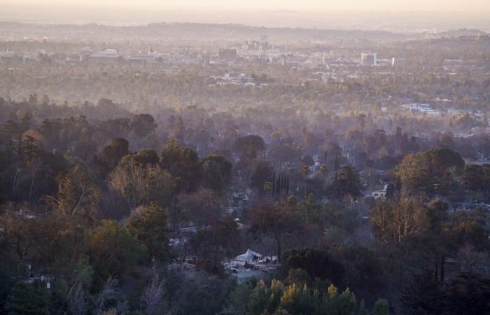 Incendios en Los Ángeles | Nuevos vientos deben caer sobre la ciudad.