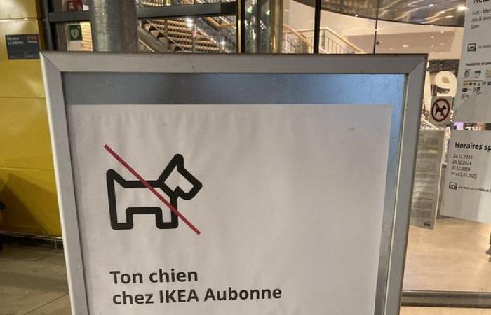 IKEA toma medidas radicales contra los perros