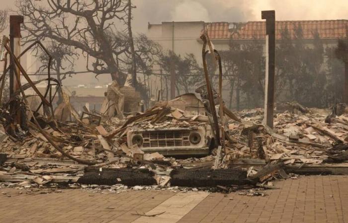 ¿Las donaciones privadas están obstaculizando el acceso a la ayuda de emergencia tras los incendios de Los Ángeles?