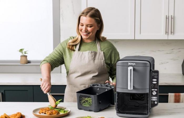 ¿Cuál es la mejor airfryer de gran capacidad? La respuesta con 6 dispositivos probados en condiciones reales