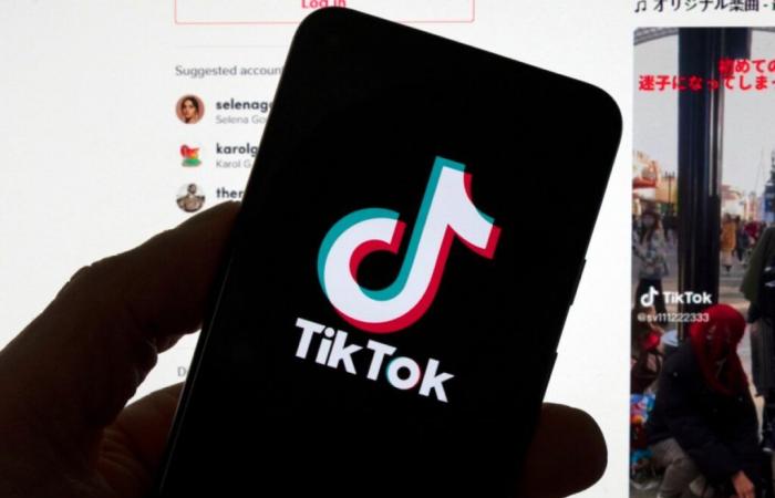 Musk en conversaciones para comprar TikTok en EE.UU., una “pura ficción”