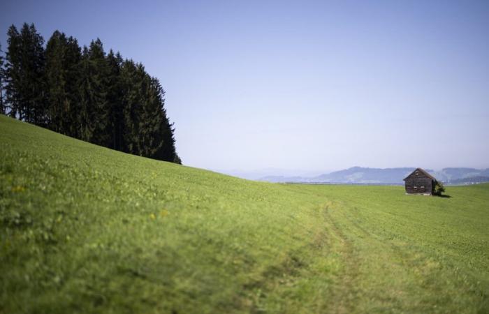 Limpiar Europa de PFAS costaría entre 95 y 2 billones de euros