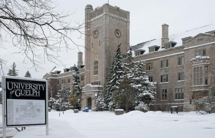 Al menos 234 casos de gastroenteritis en la Universidad de Guelph