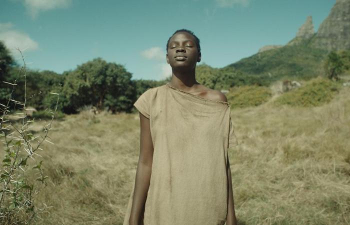 Ni cadenas ni amos, un potente fresco cinematográfico