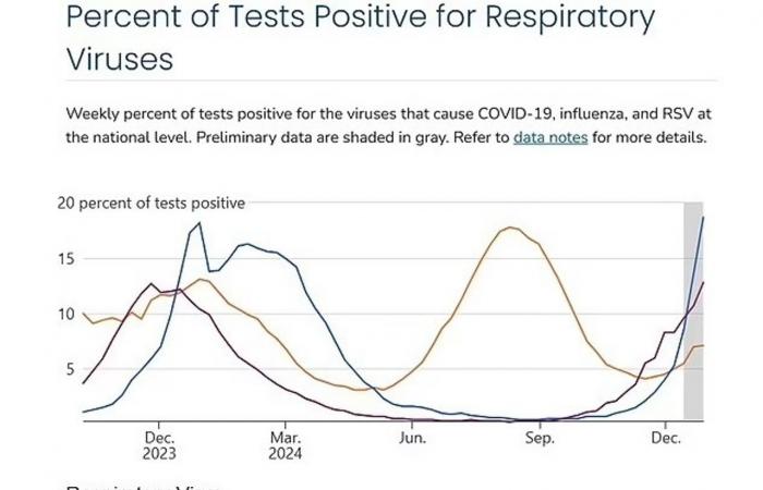 En las primeras semanas de 2025, una ola de virus respiratorios infectará a millones de personas en todo el mundo