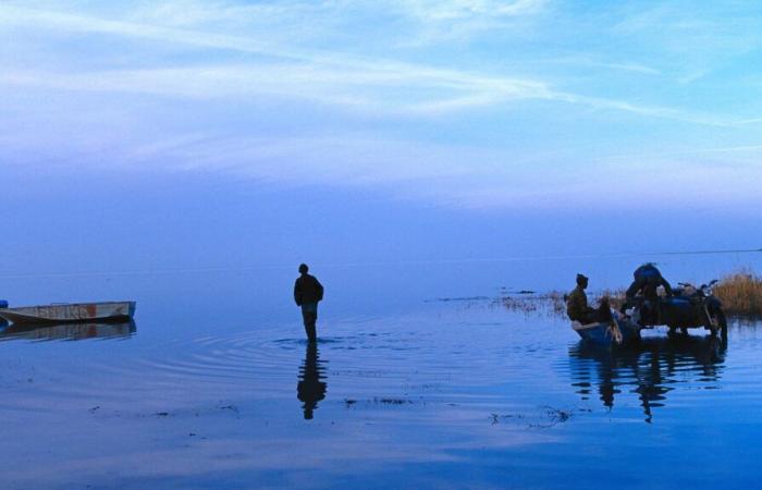 En Kazajstán, el aumento del volumen de agua en la parte norte del mar de Aral representa un éxito ecológico poco común