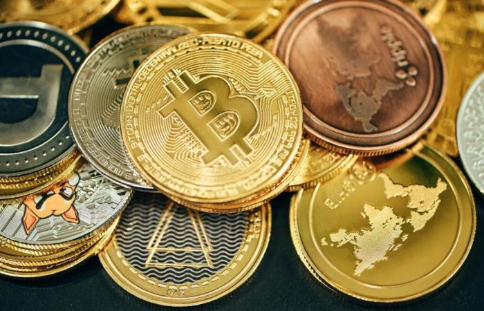 Fin de una búsqueda de 11 años para encontrar 740 millones de euros en bitcoins