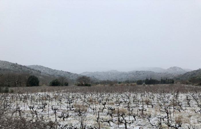 Se anuncia “un regreso del Este”, se esperan lluvias y nieve en los Pirineos Orientales