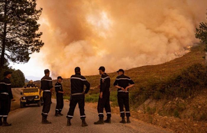 Controlado el incendio forestal de Jbel Aghendrou en la provincia de Al Hoceima