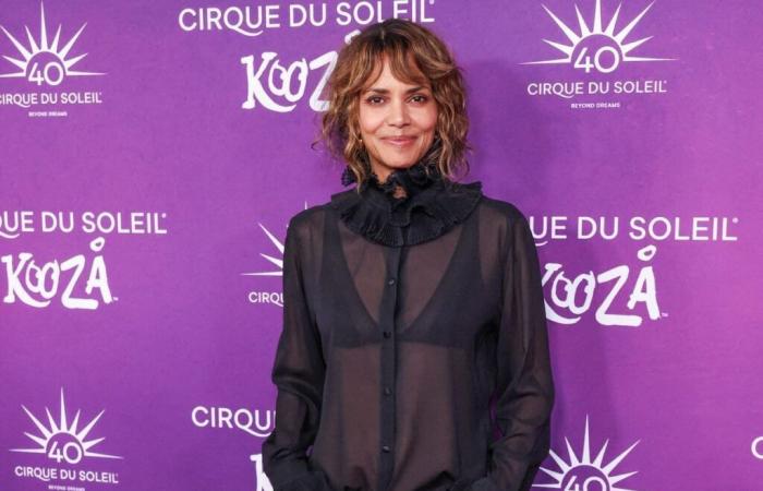 Halle Berry realiza una importante donación para las víctimas