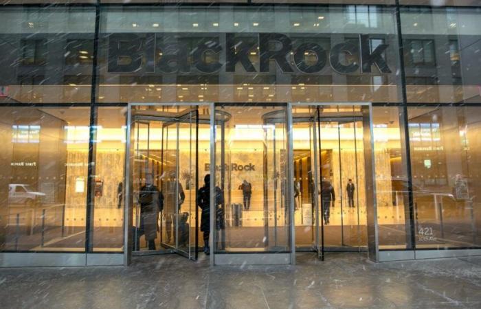 La facturación de BlackRock superará los 20.000 millones de dólares en 2024